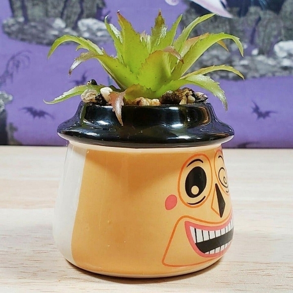 Disney Nightmare Before Christmas The Mayor 3.5" Faux Mini Succulent Plant - Picture 2 of 9